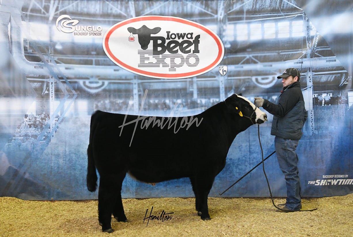 2021 Iowa Beef Expo begins Saturday Iowa Agribusiness Network