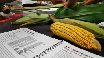 Finding a place for ag in a mainstream science class