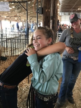 Clinton County Fair swine flu frustration, misinformation and lessons learned