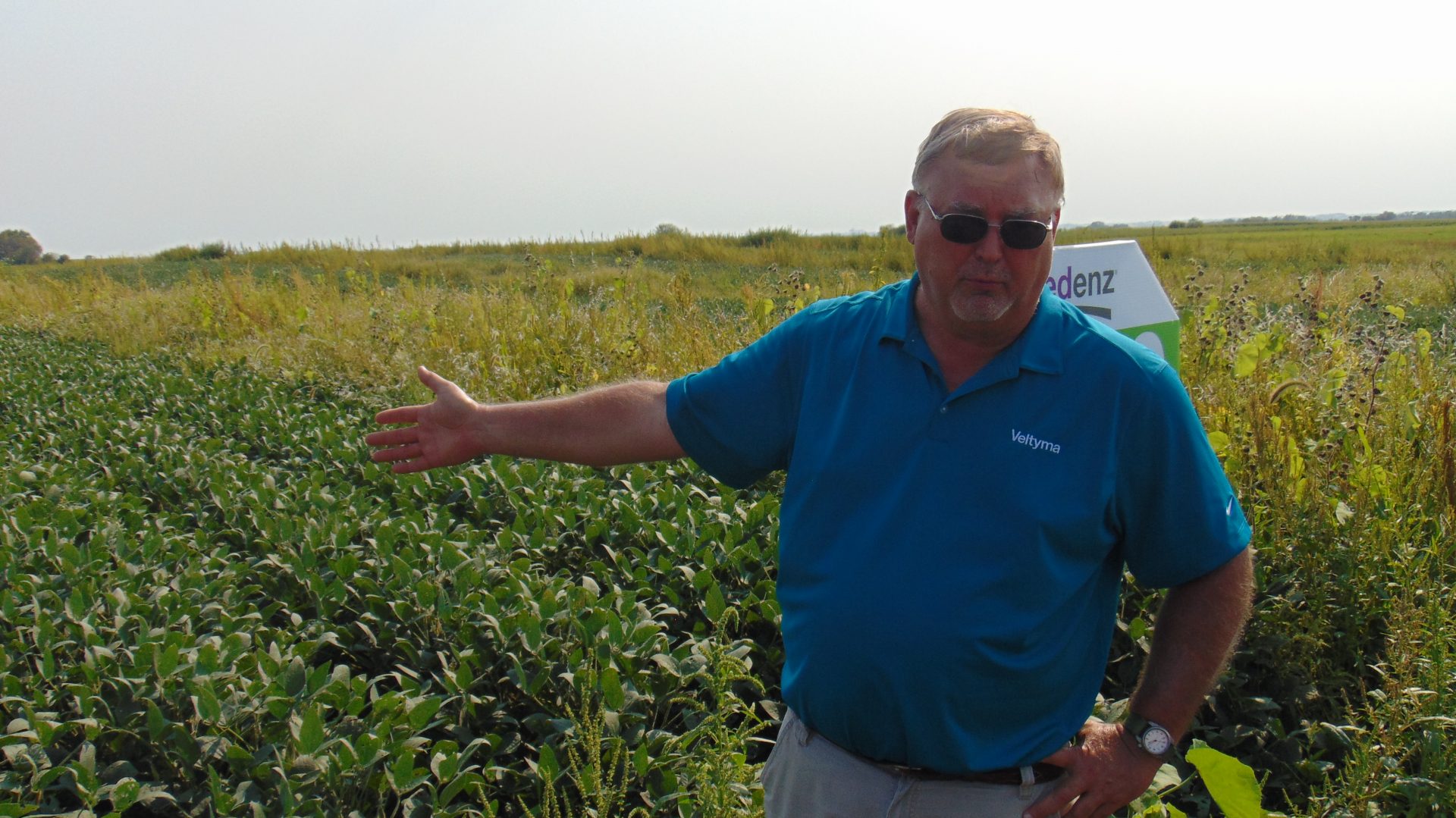 Challenges for crops this growing season with BASF Iowa Agri