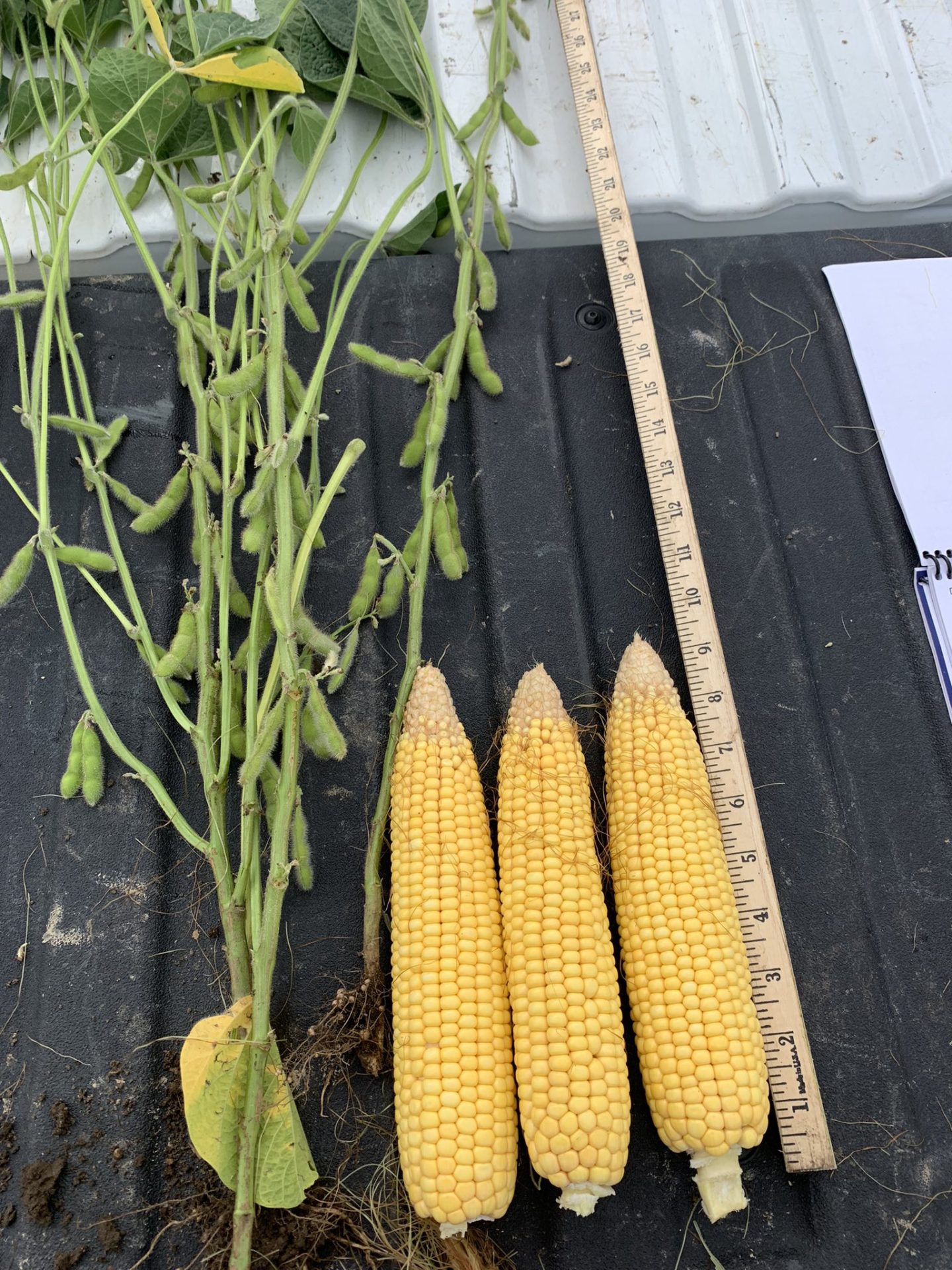 Tour wraps up with Iowa surprising many scouts