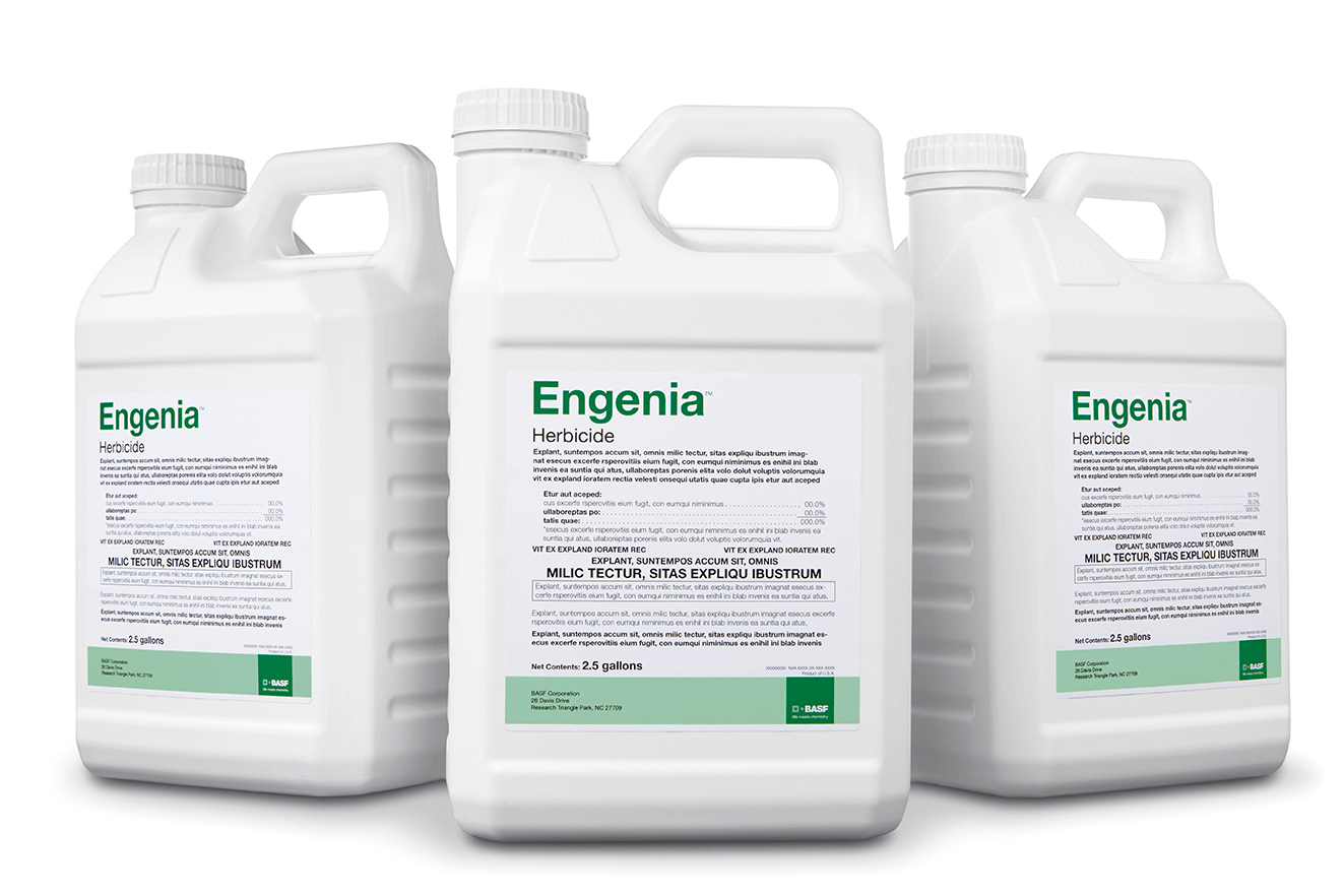 BASF?s Engenia? herbicide fights the battle against glyphosate tolerance