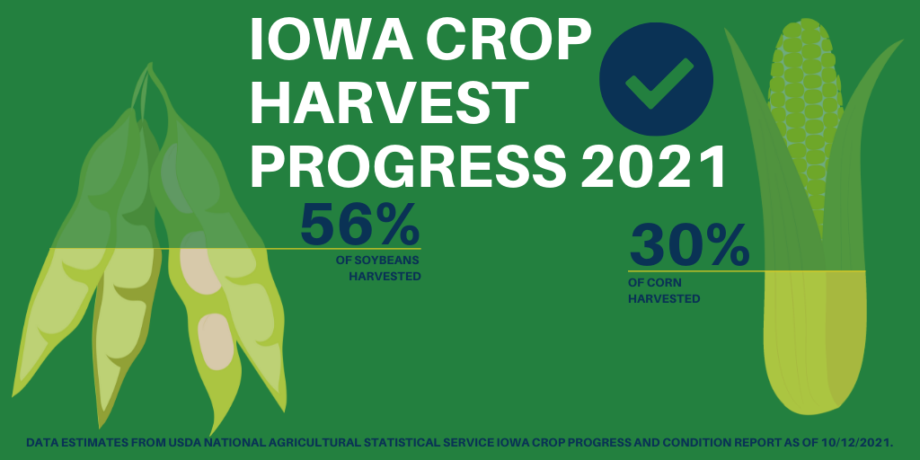 Iowa soybean harvest 56% done, corn 30%