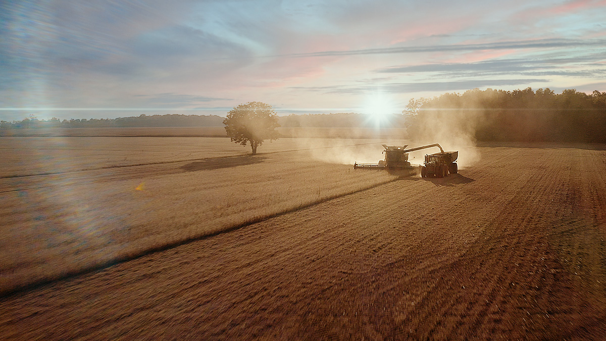 Benson Hill finalizes 2021 harvest of its proprietary soy varieties