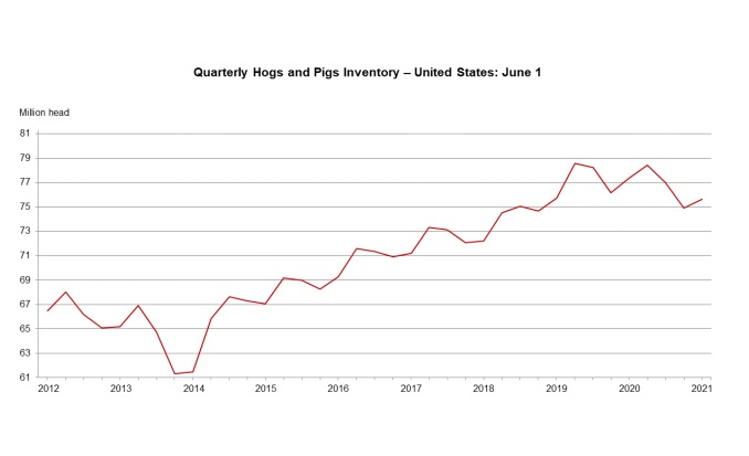U.S. hog inventory down 2 percent
