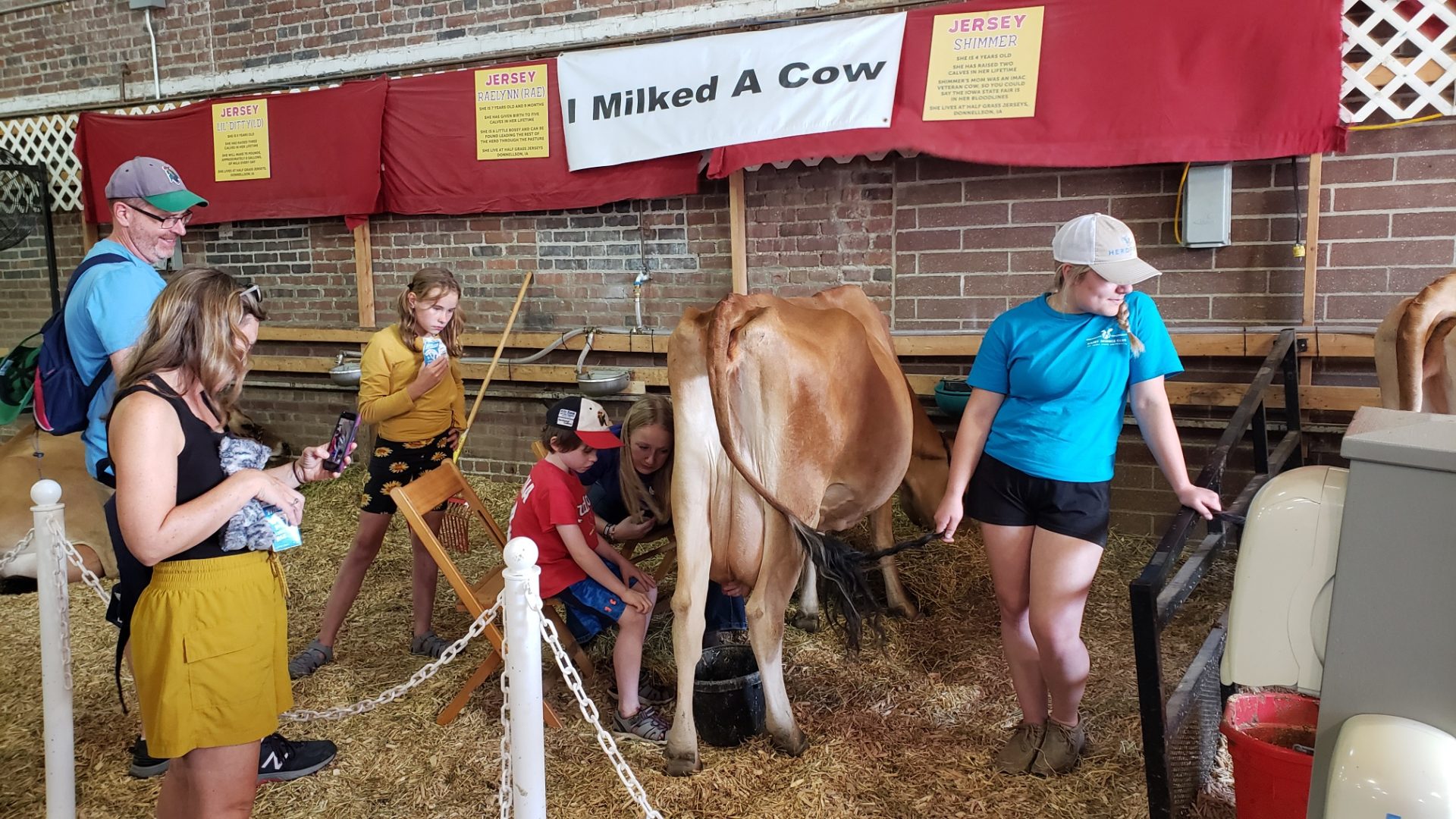 ISU Dairy Club hosts “I Milked a Cow” at ISF