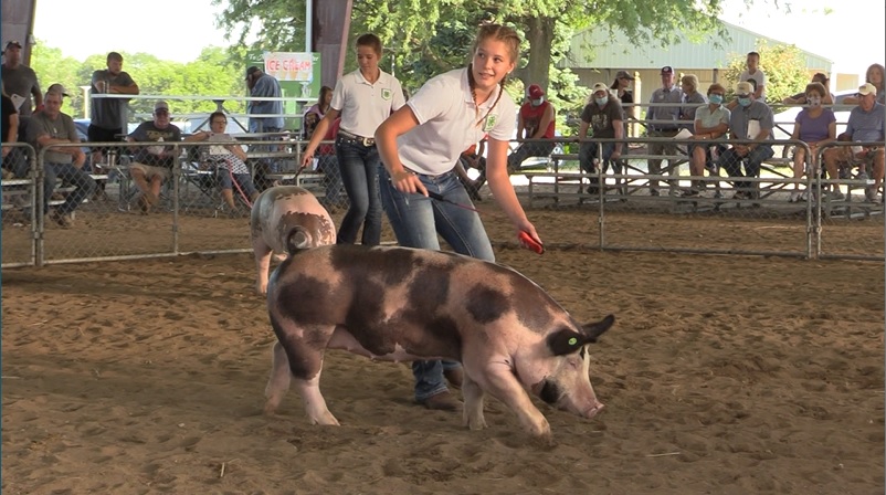 Mills County Fair finishing strong