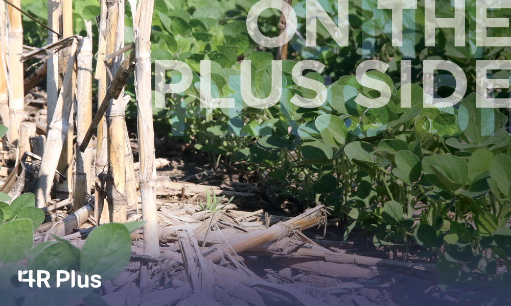 Iowa’s 4R Plus farmers share their experiences with practices