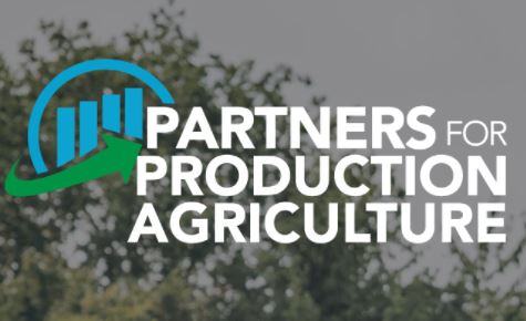 Livestock economist gives 2022 hog market outlook