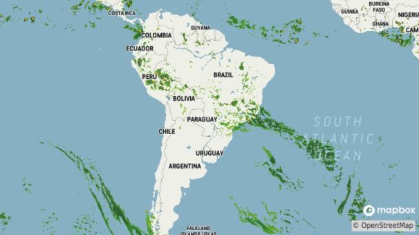 Brazilian soybean planting approaches record pace