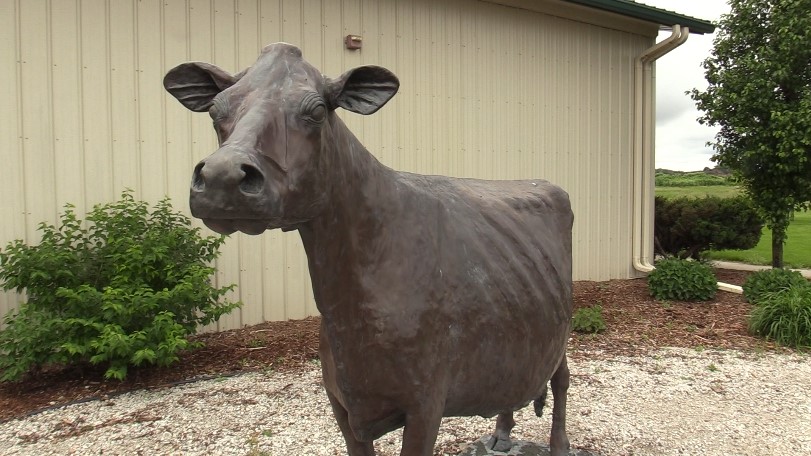 ISU Dairy Farm holds open house for National Dairy Month