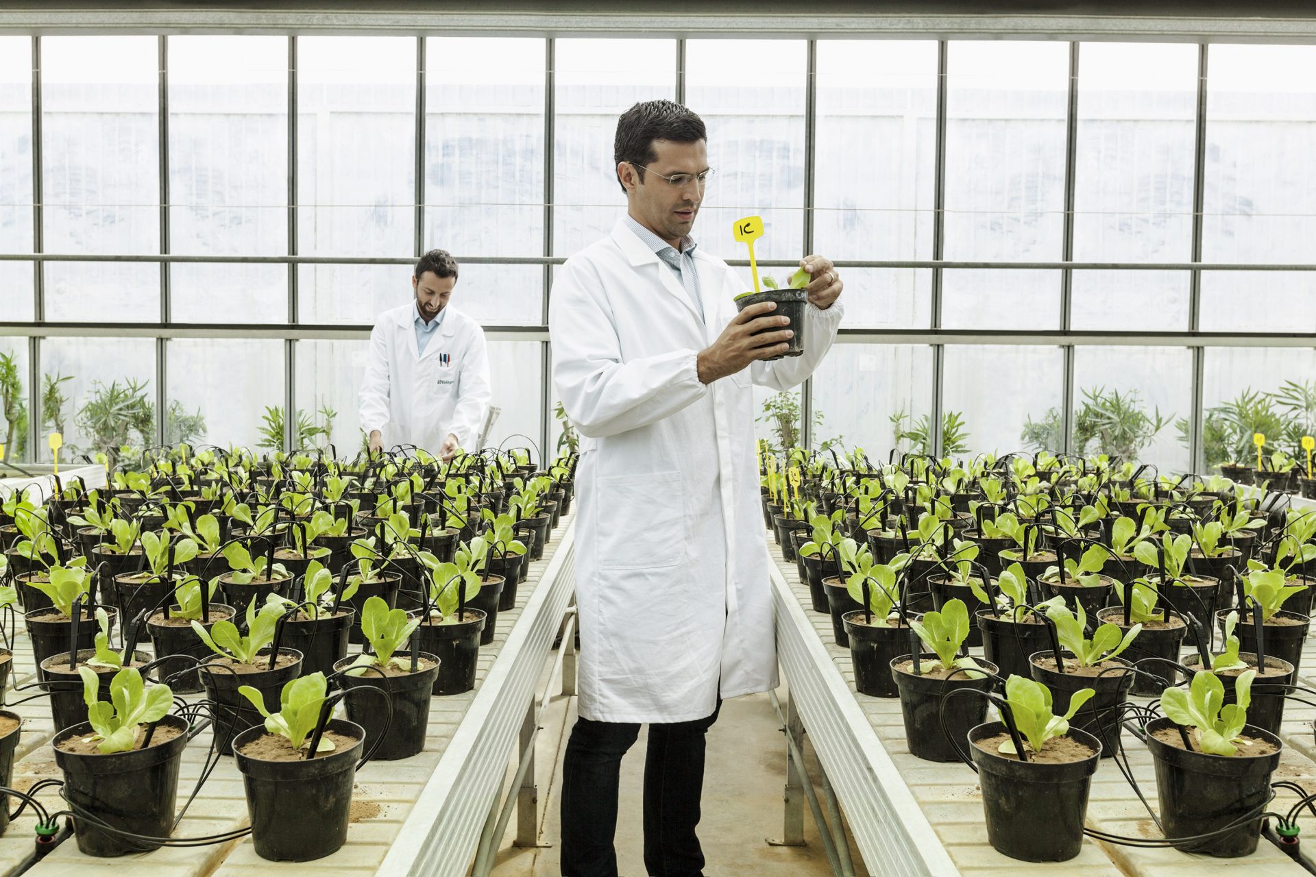 Syngenta Group announces acquisition of Valagro