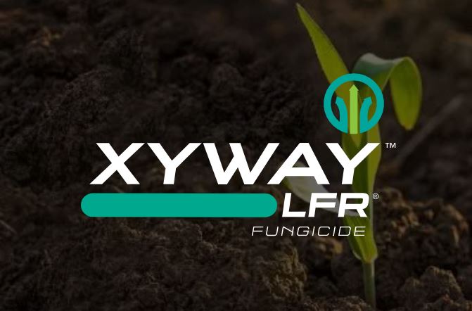 FMC?s Xyway brand fungicides perform strong in 2021