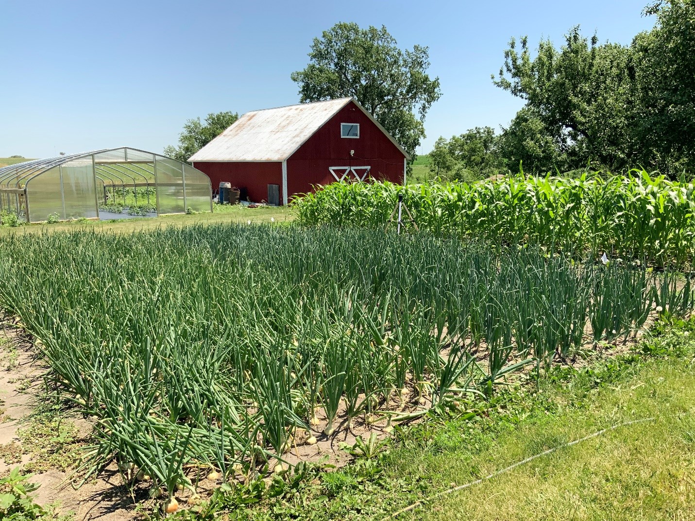 Agritourism bus tour in Central Iowa