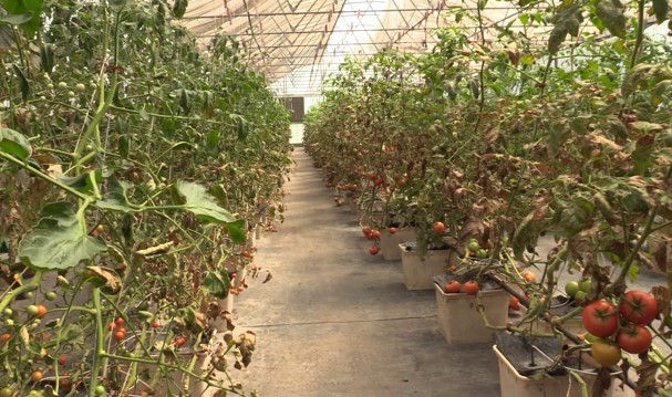 PFI highlights diversified agriculture at 3 Bee Farms