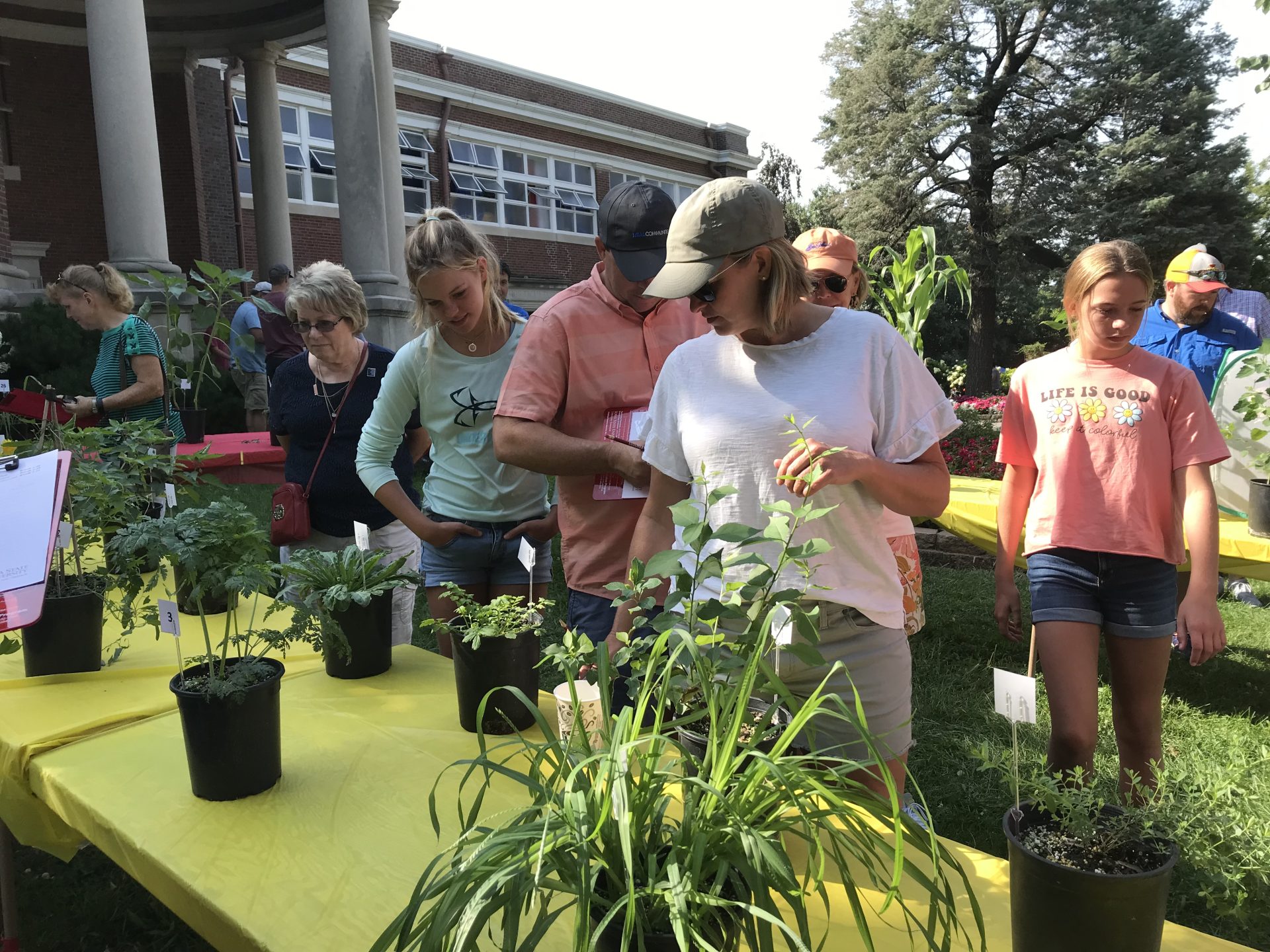 weed-identification1660309656-239455559