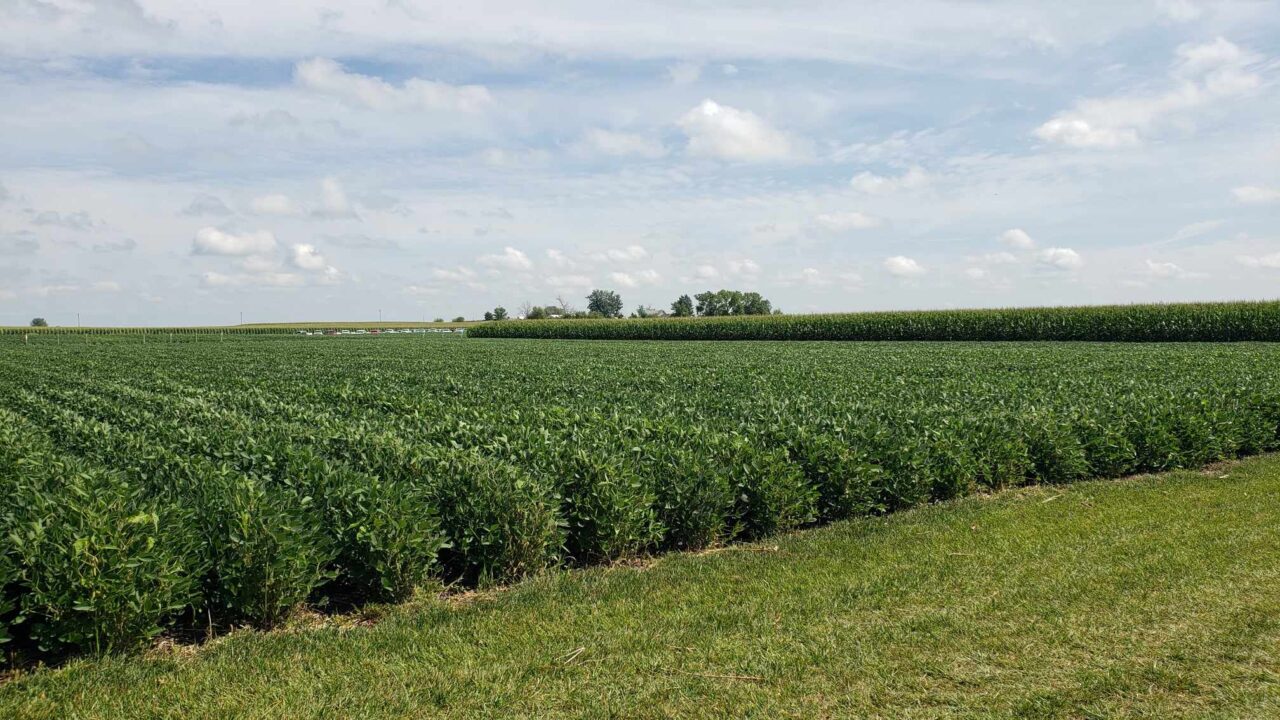Determining the optimal soybean seeding rate Iowa Agribusiness Radio