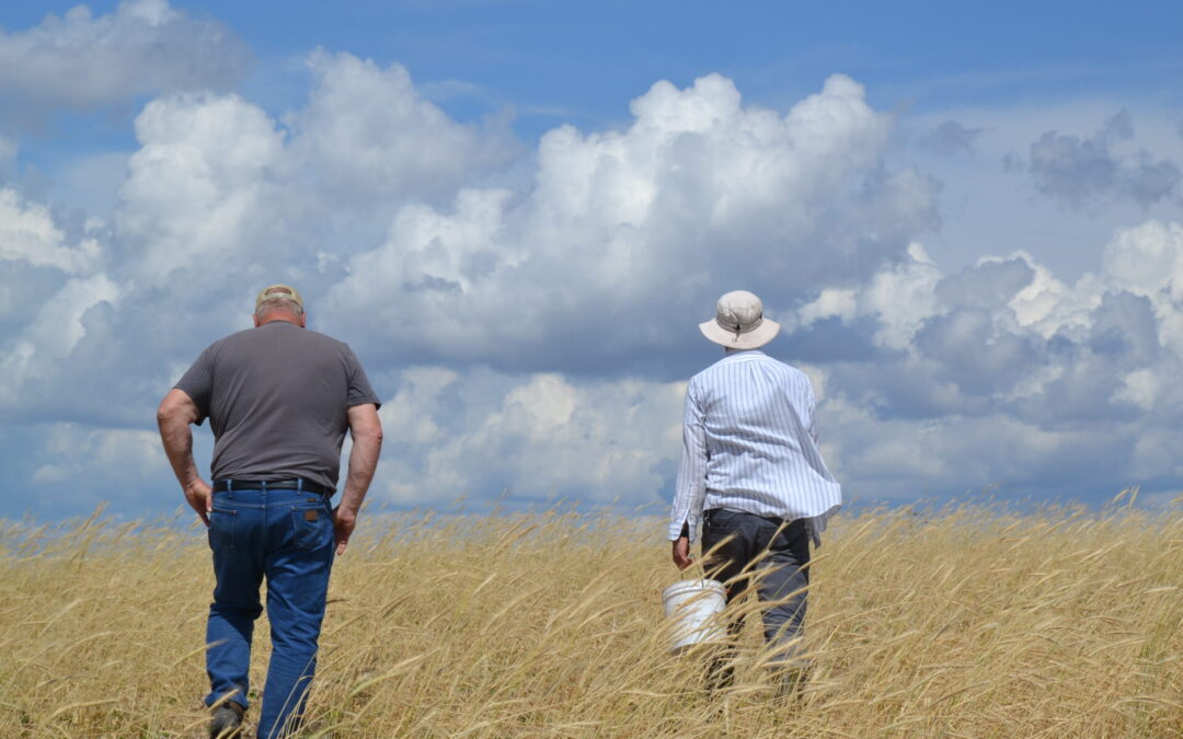 PFI’s Labor4Learning program offers hands-on experience for new farmers