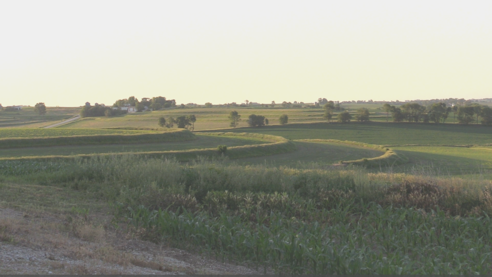 AgMarket.Net releases USDA Acreage report estimates
