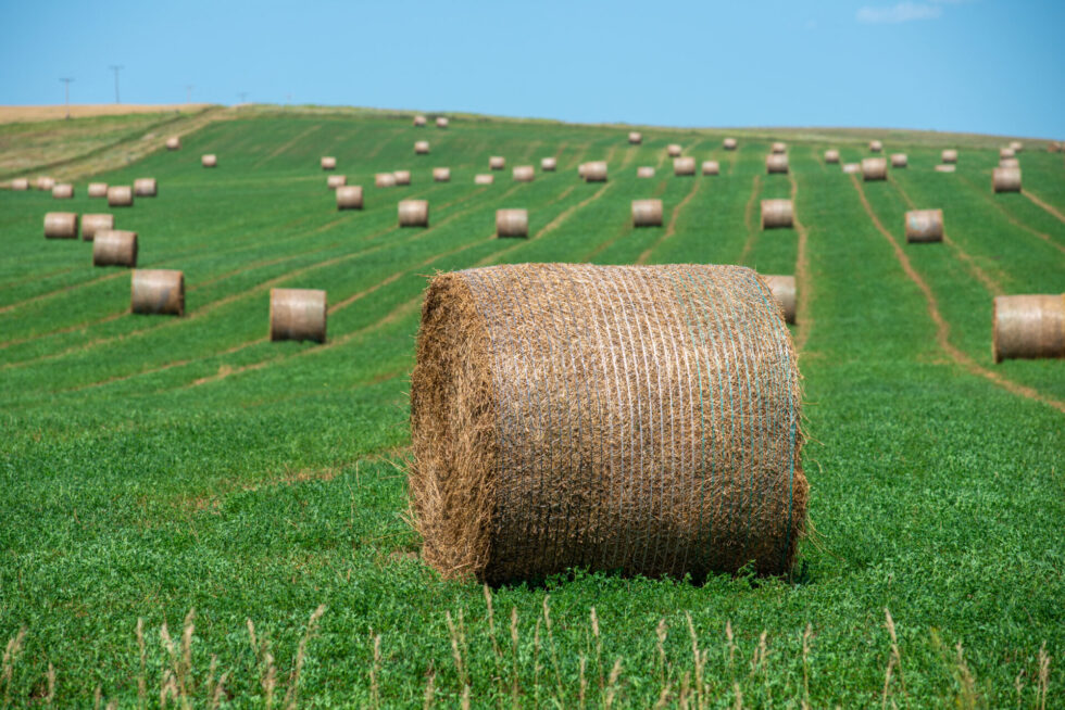 Latest look at ag land values