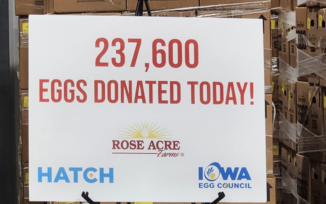 Food Bank of Iowa receives donation of almost 240,000 eggs