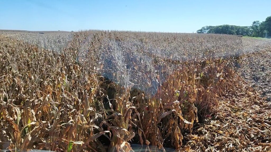 Dry conditions mean an enhanced risk for field fires | Iowa ...