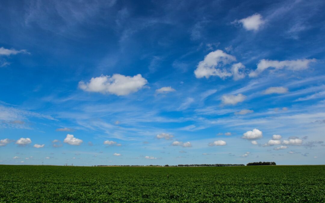 Argentina makes permanent tax cuts to ag exports