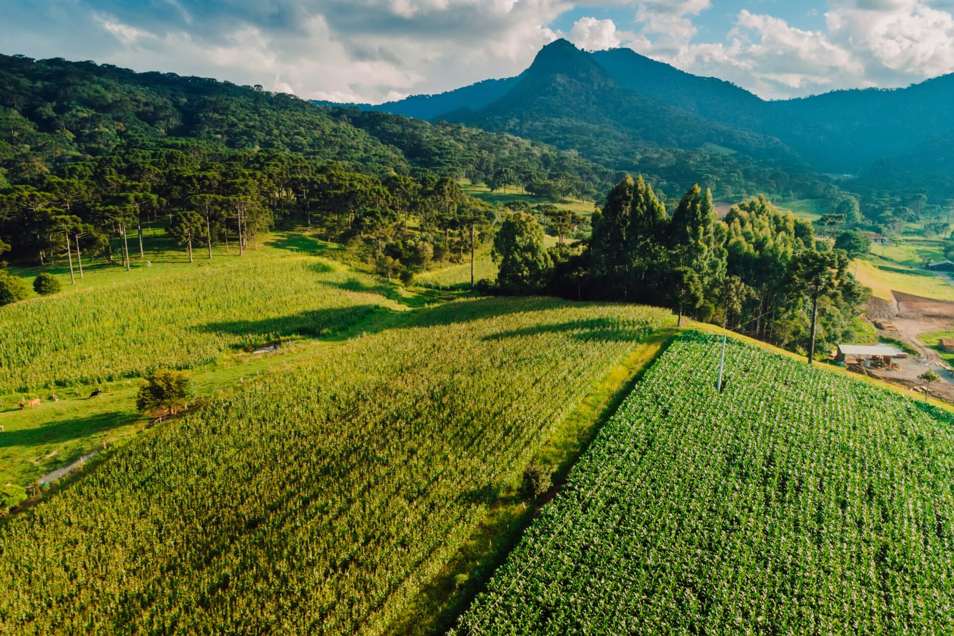 Aerial view of rural area with mountains, vegetation and corn field in the municipality of Urubici, Santa Catarina, Brazil