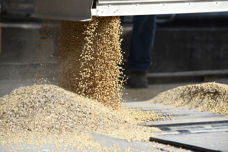 Iowa farmers face tough old crop decisions