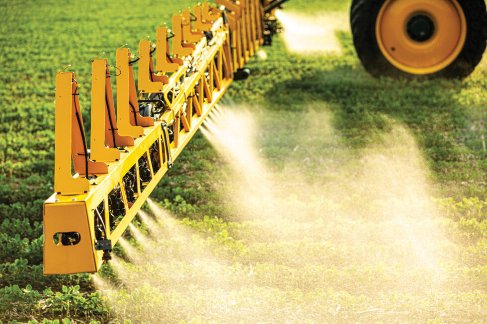 Multiple diseases threaten Iowa corn crop