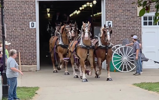 State Fair showcases the heart of Iowa agriculture