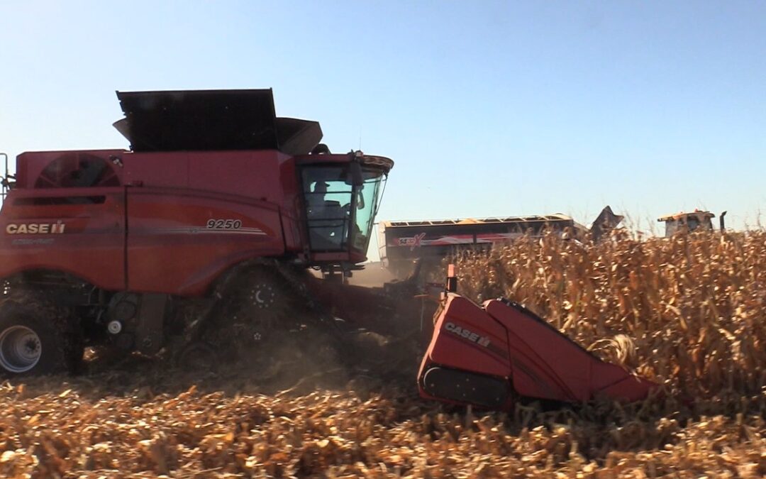 Warm temperatures will bring harvest here before we know it