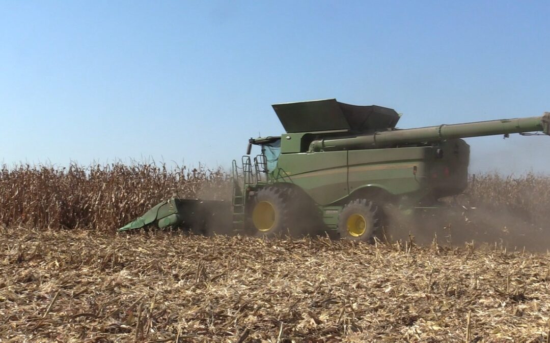 Dry Iowa weather can make harvest more complicated