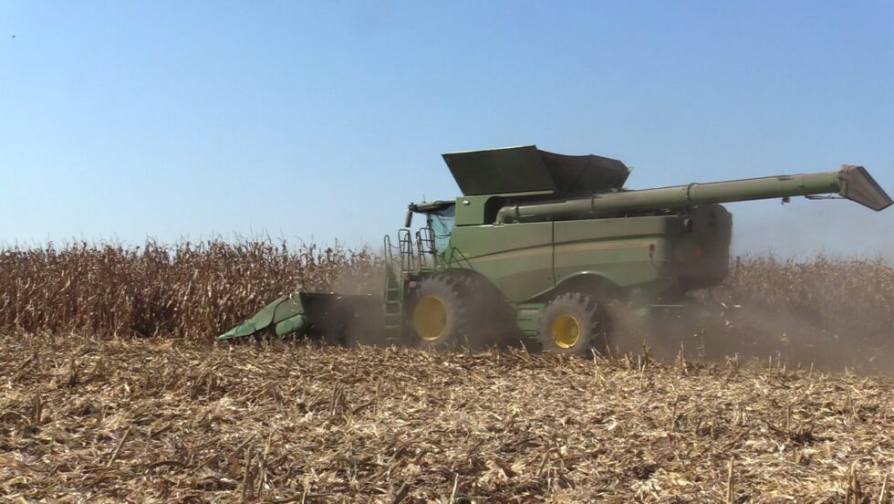 Naig previews America 250 Harvest Festival