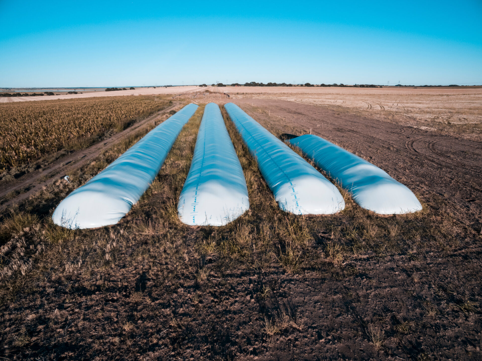 Silo bag, grain storage in La Pampa, Argentina