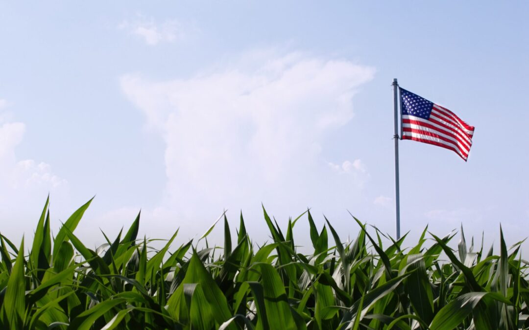 AFBF recognizes Veteran Farmer Award of Excellence recipient