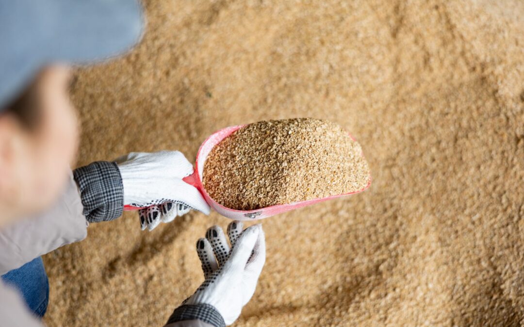 Soybean demand can still grow in livestock industry