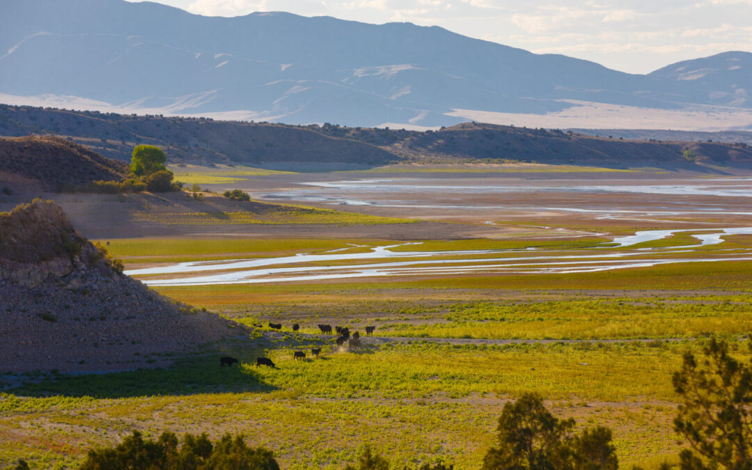 Interior official highlights ranchers’ stewardship role