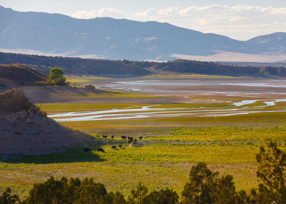 Interior official highlights ranchers' stewardship role