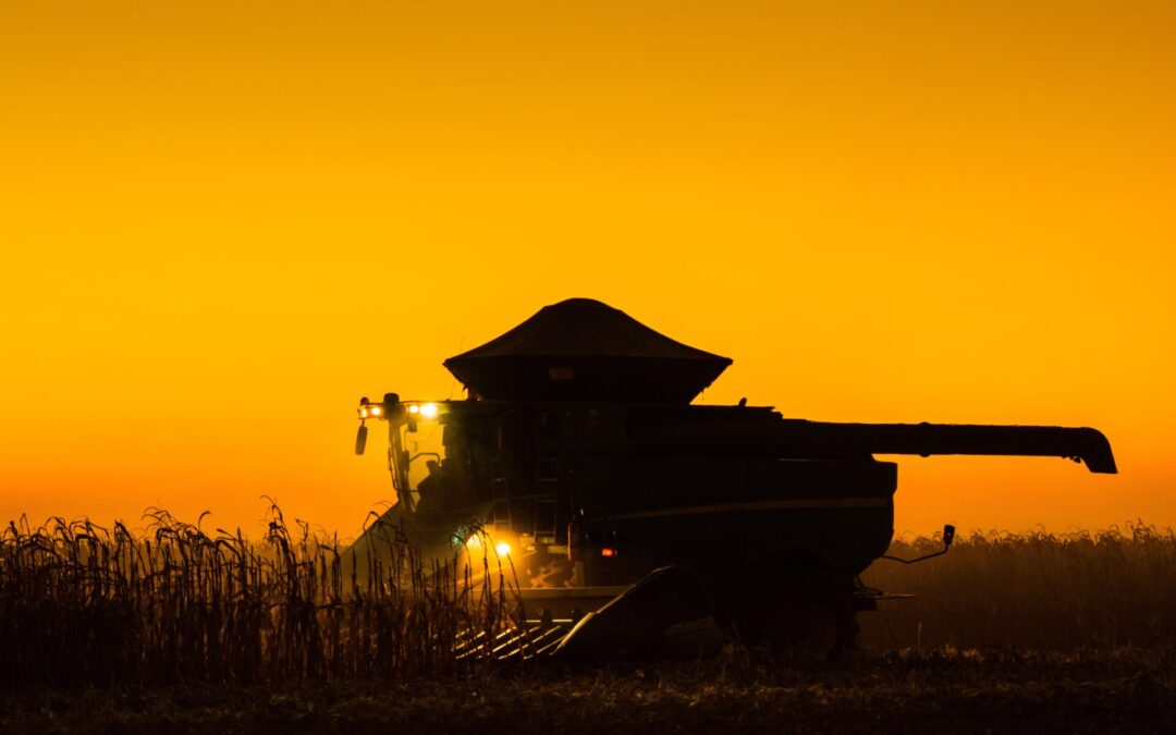South American Weather and Crop Update (7-7-26)