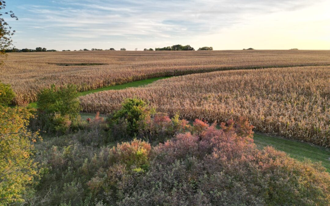 Iowa water quality progress requires everyone at the table