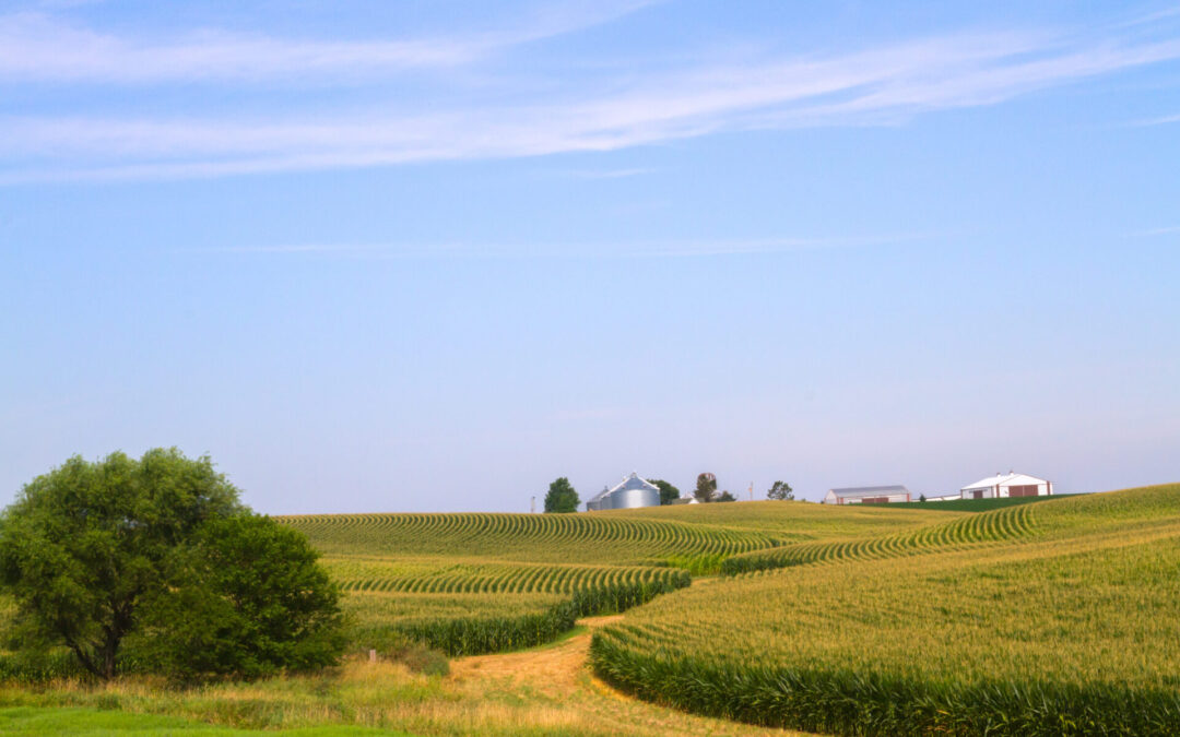 Iowa farmers urged to act before options disappear