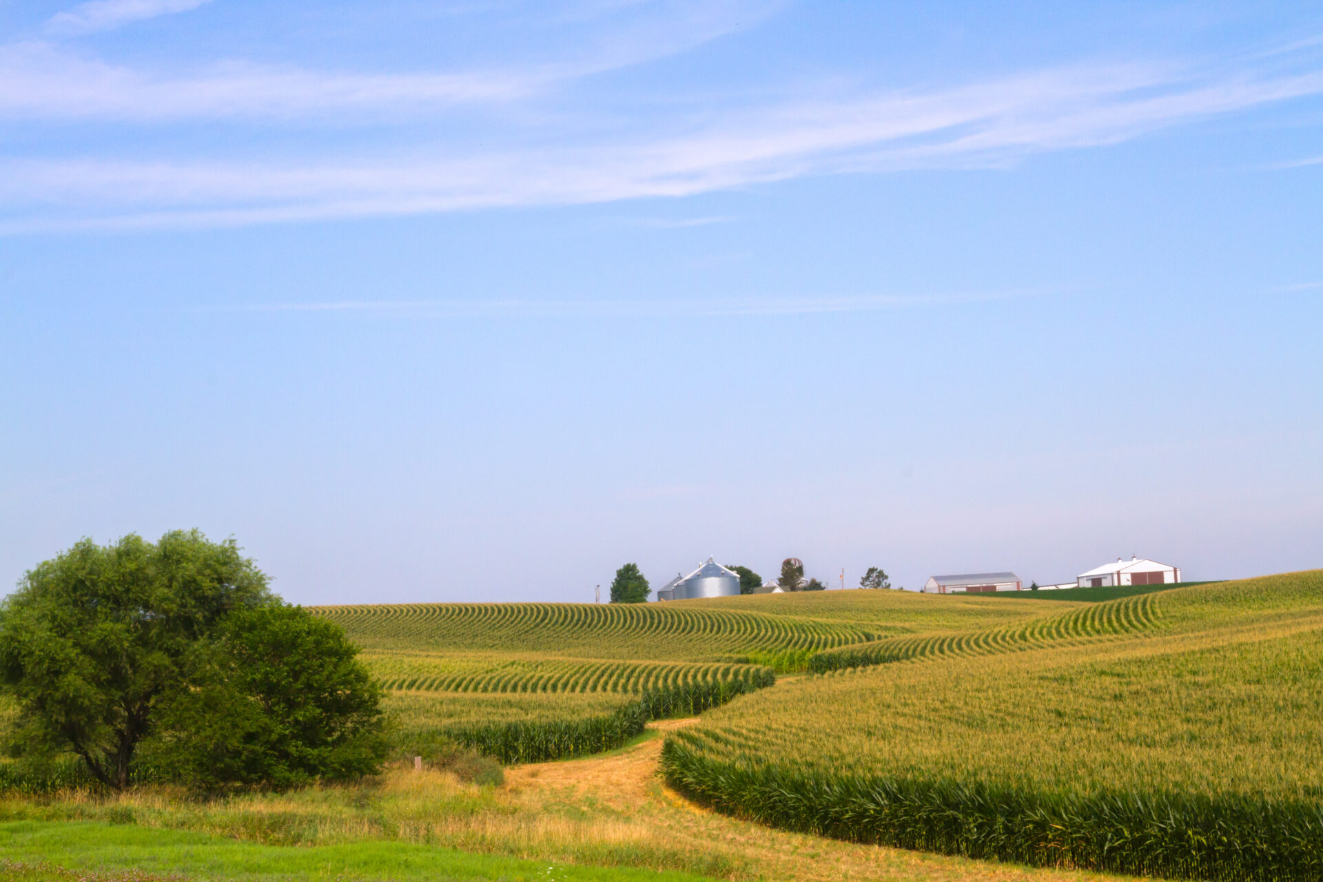 AdobeStock-184458035-Iowa-Farm