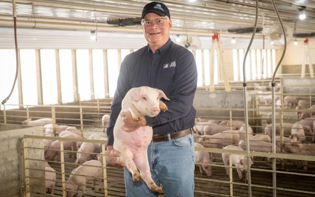 Prop 12 battle continues as farm bill stalls again