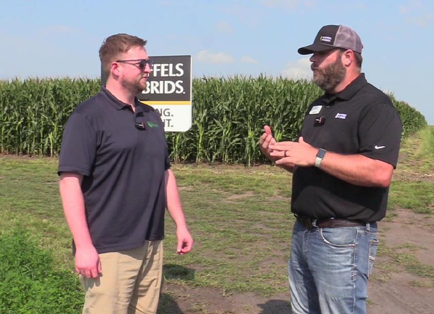Lower disease pressure gives Iowa corn growers more flexibility in 2026