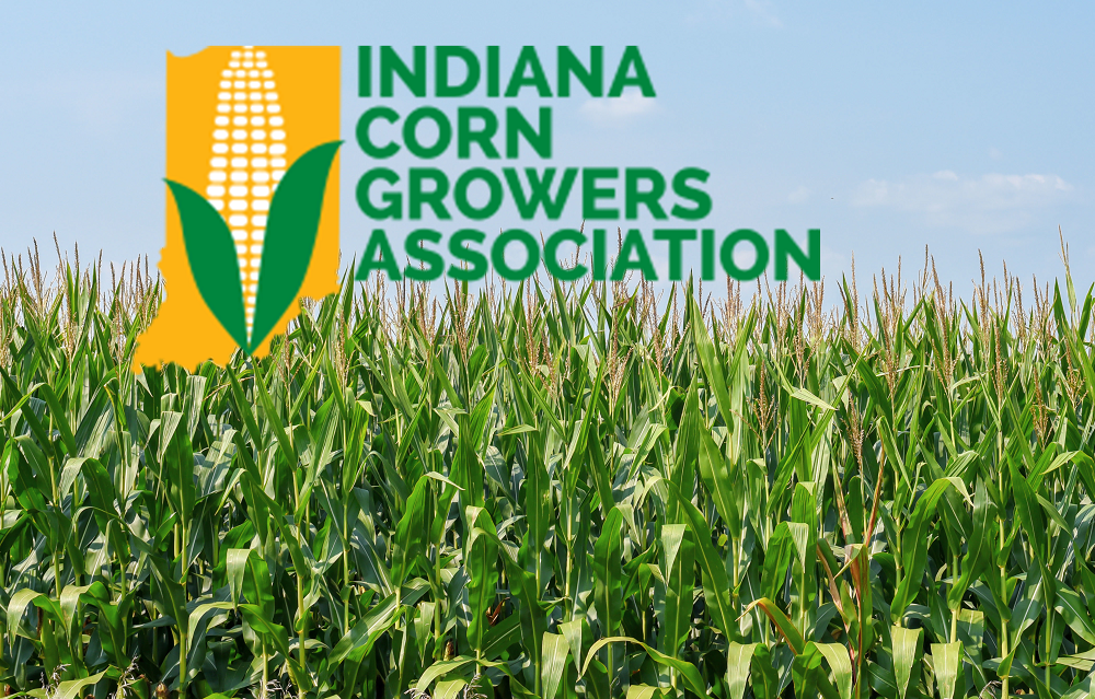 Everett, Murphy Join Indiana Corn Growers Association Board - Vimarsana News