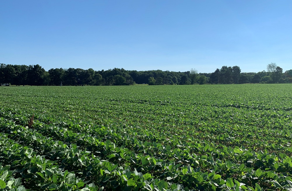 Indiana Applications for United Soybean Board Open Seat Available Until February 28 - Vimarsana News