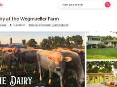 Diversifying the Farm With Airbnb