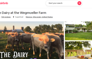 Diversifying the Farm With Airbnb